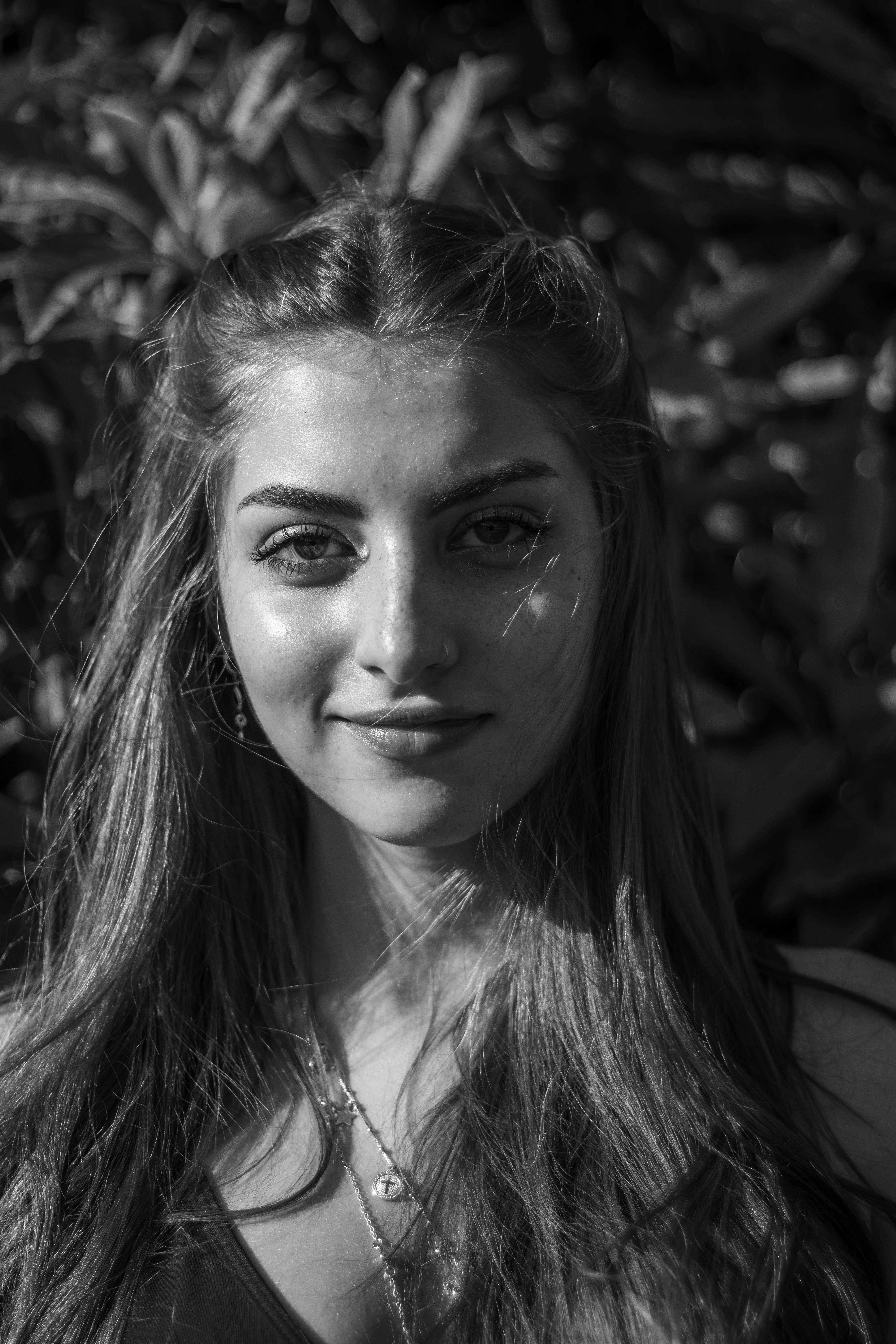 国产高清影视推荐：暗格回声海报