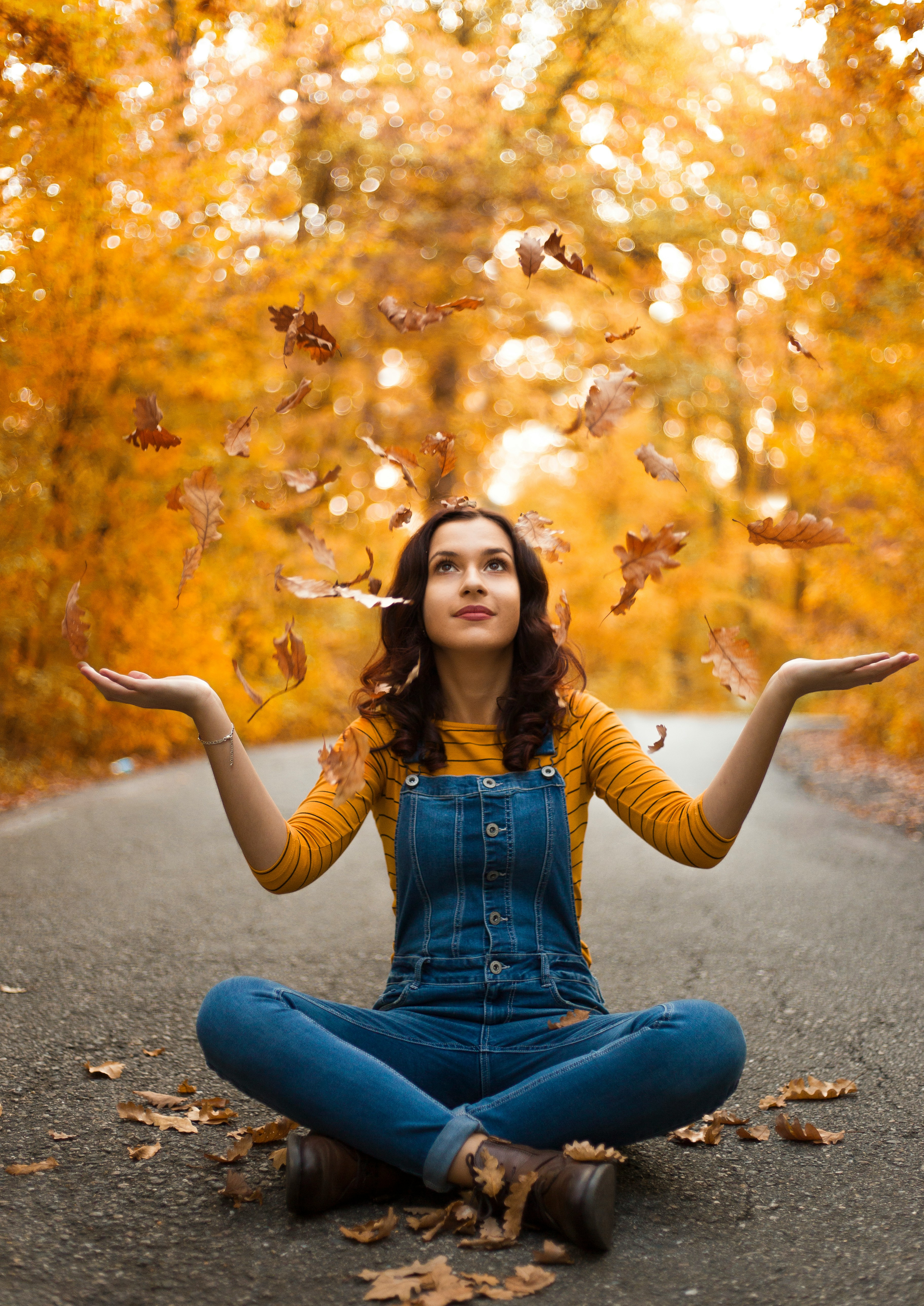 电影海报：赤焰骑士